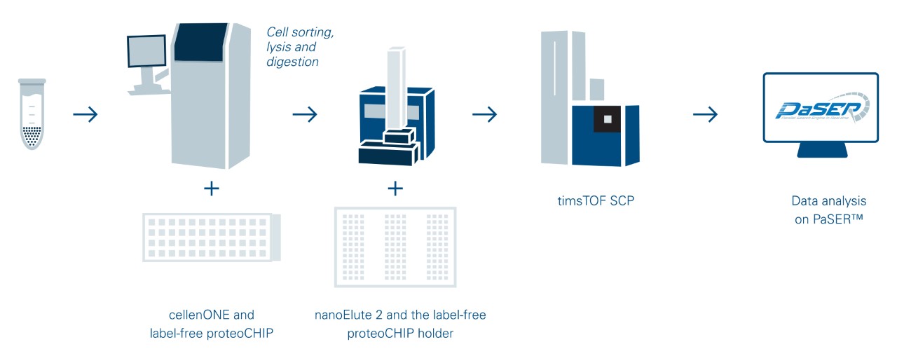 Fully automated label-free single cell proteomics workflow