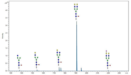MALDI Glycan Analysis