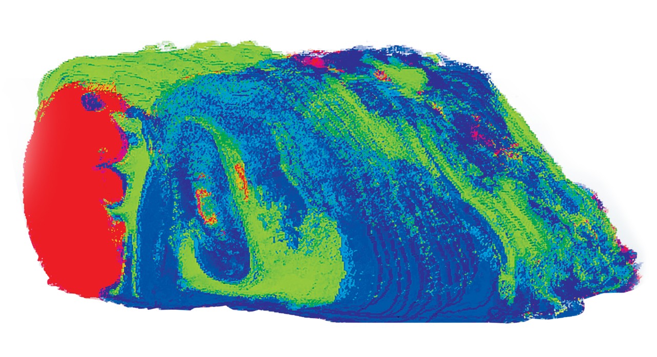 Distribution of three distinct m/z values in a 3D reconstruction of 49 sagittal mouse brain sections containing a non-metastasizing cerebellar tumor with SCiLS Lab.