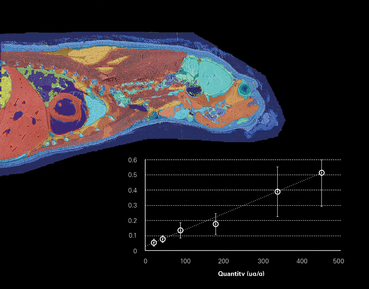 Label-free targeted imaging and distribution mapping for drug discovery and DMPK/PD: Low operational cost and high specificity – differentiate drug and metabolite distributions, quantify target compounds, and integrate with histology.