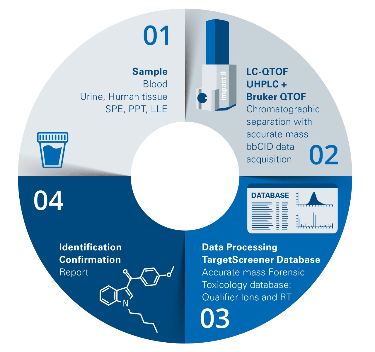 Schematic of Bruker TargetScreener workflow