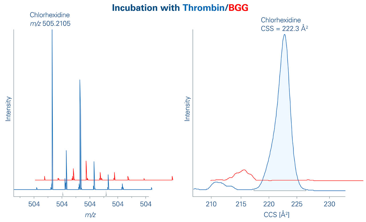 Incubation with Thrombin/BGG 