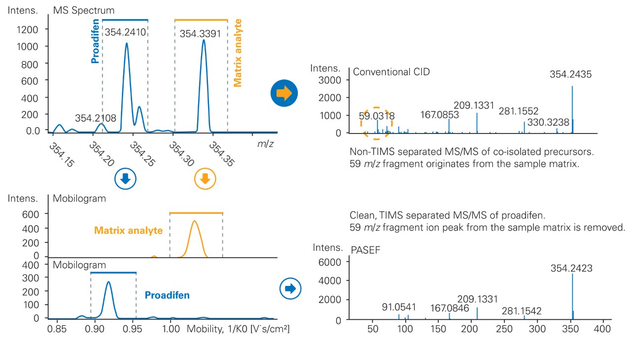 PASEF improves MS/MS spectra for better library matching results