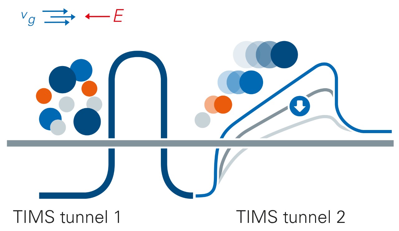 timsTOF System