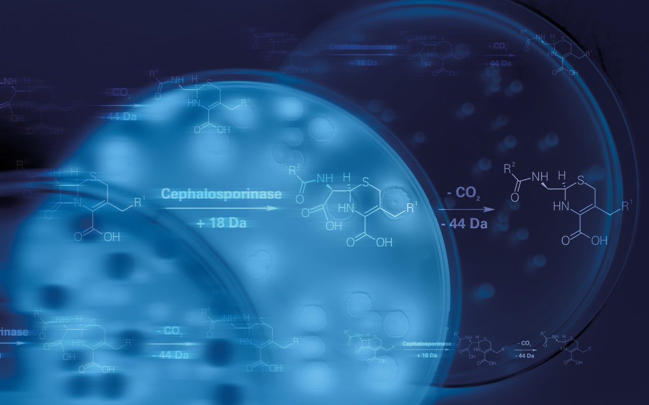 BetaLactamase Activity Detection Bruker