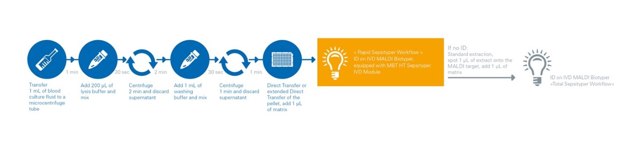 Sepsityper® workflow IVD-CE