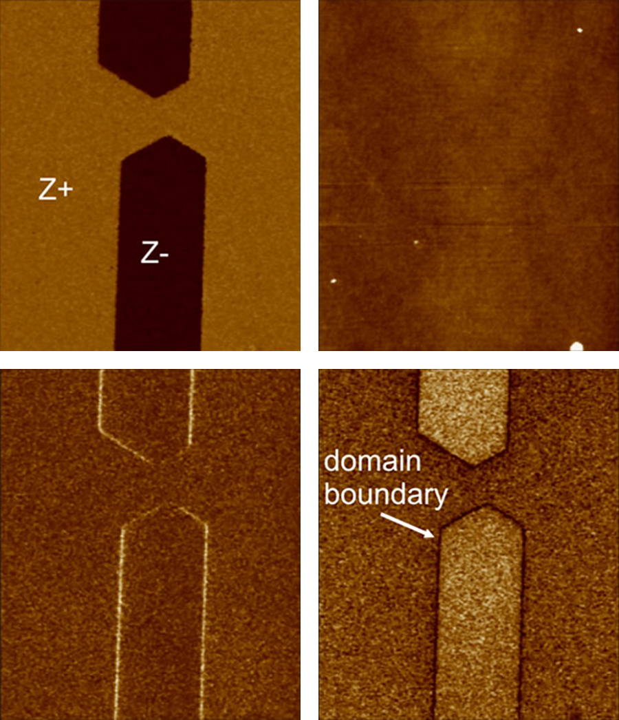 AFM domain visualization images of lithium niobate crystal