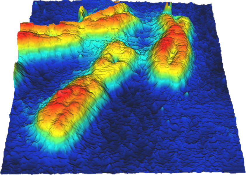  AFM topography image of human lymphocyte chromosomes