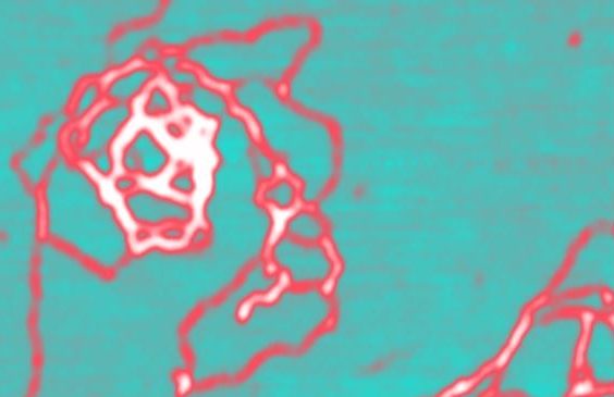  AFM image of DNA at -25 degrees