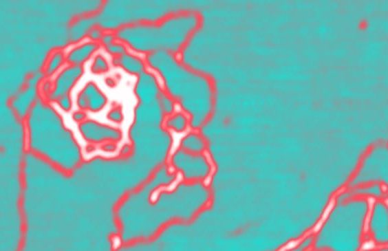  AFM image of DNA at -25 degrees