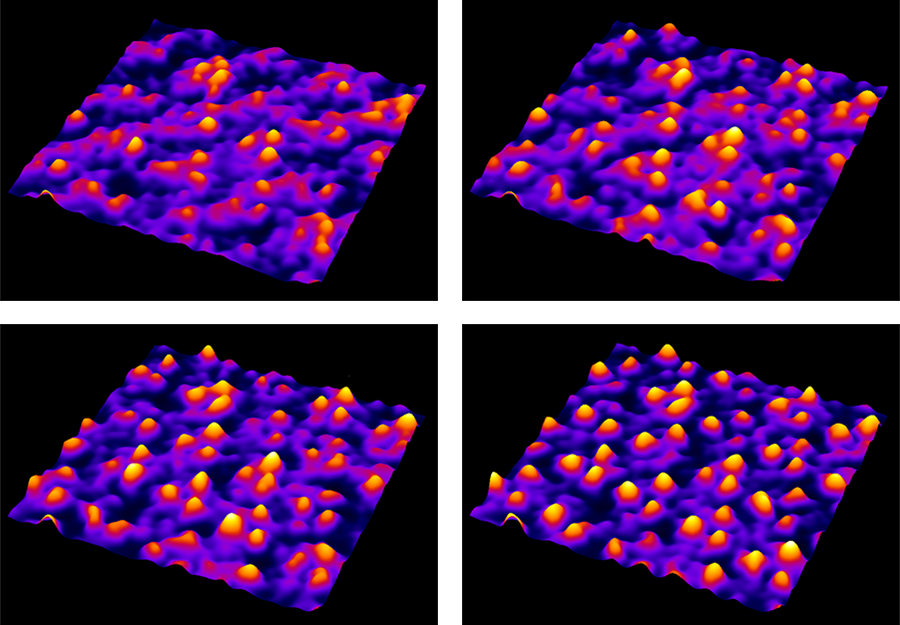 AFM images of bacteriorhodopsin membrane proteins