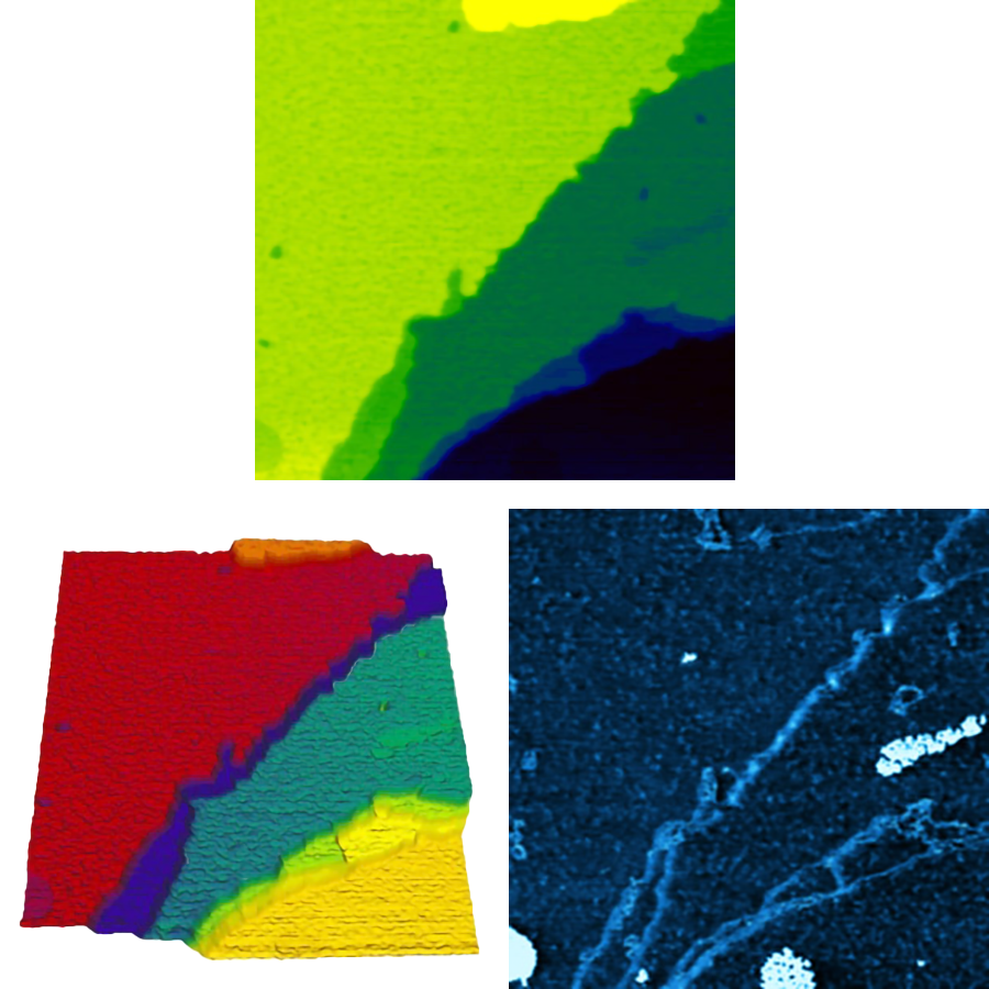 AFM images of Fe-Pt nanoparticles in SLPC lipid bilayer