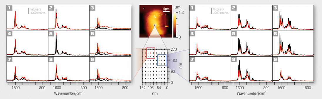 TERS mapping example showing image of human colon cancer cell (middle; circular gold spot with indistinct edges on dark-red field) flanked by small-scale wavenumber graohs