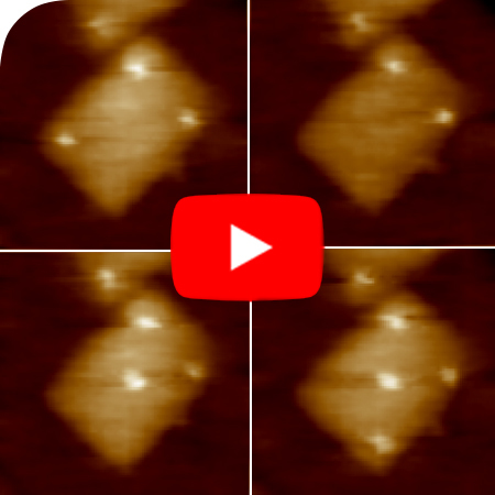 DNA origami nanostructures containing 5 biotin binding sites on mica, imaged in fluid with streptavidin presence in closed-loop at 50 frames and 5000 lines/sec. Click on the image to watch the video.