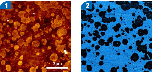 Topography and Contact Resonance frequency images of a glass surface showing surface contamination from the production process.