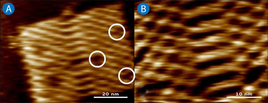 High-speed AFM images of R80 DNA Origami at ~1.6 frames/s; 2 nm Z-scale.