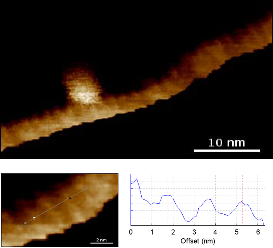 AFM scan of plasmid DNA showing major and minor grooves, with 3.4 nm spacing between markers.