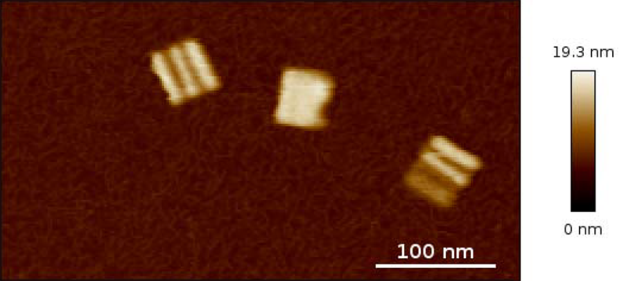 3D DNA origami structures imaged via AFM. 