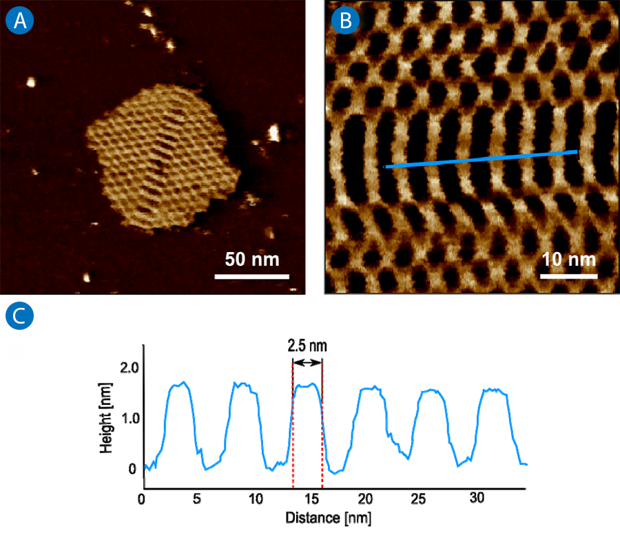 AFM image of DNA origami pattern with zoomed central view and cross-section. Scan size: 200 nm, z-range: 2 nm. 
