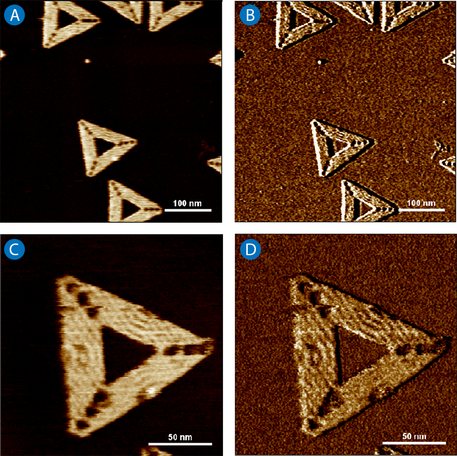 Triangular DNA origami imaged with JPK NanoWizard® ULTRA Speed (50 Hz). Height (2 nm) and phase (5°) scans.