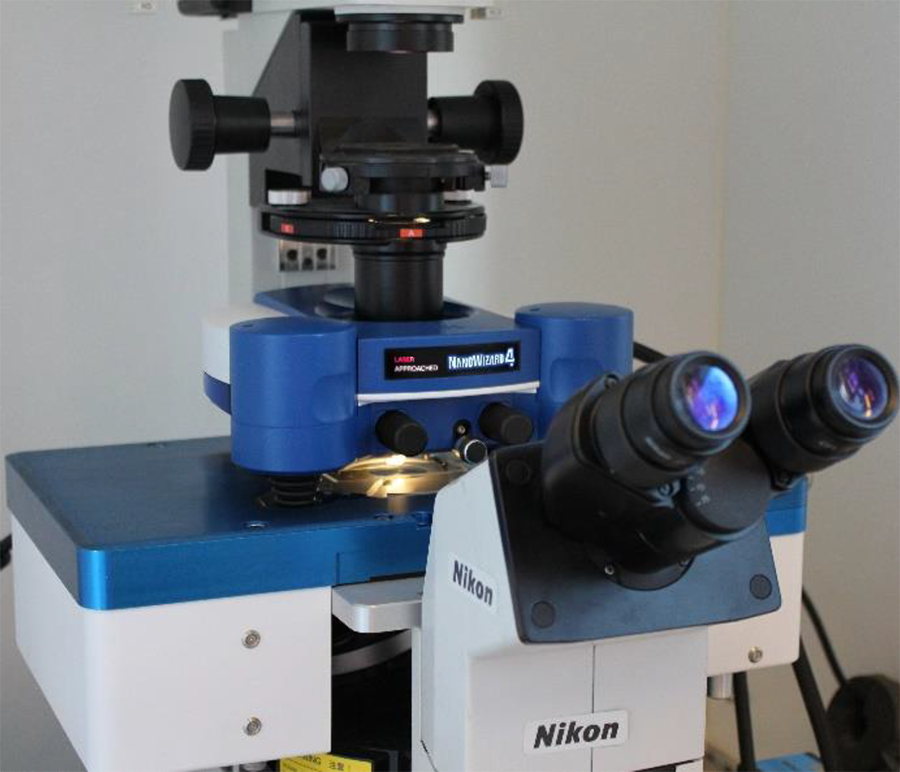 HybridStage integrated with NanoWizard system on inverted Nikon microscope for nanoscale imaging.