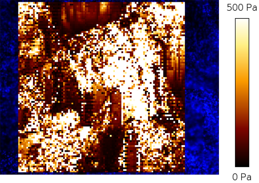 Young’s modulus map of cervix tumor tissue with multiple force maps using AFM indentation and a microsphere-tipped cantilever.