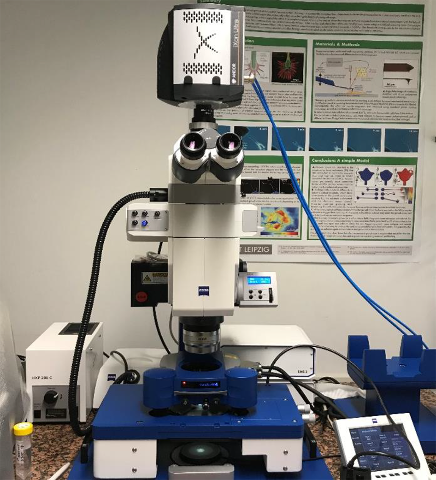 Microscope setup with JPK HybridStage and Andor EMCCD camera for tissue force mapping.