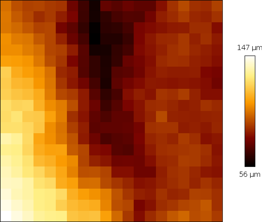 Height profile of cervix tissue from a single scan map taken from the top right corner of the multi-scan area.