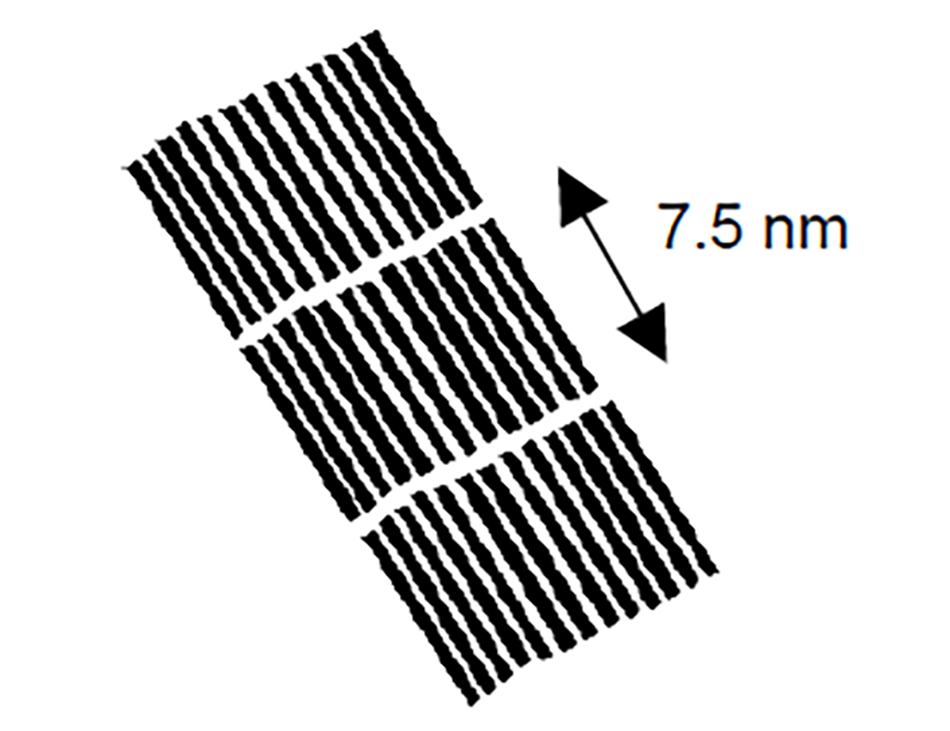 AFM image showing hexacontane molecules self-assembled into 7.5 nm-wide lamellar structures on HOPG.