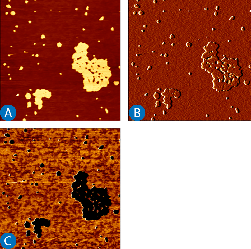 AFM images of OPA monolayers on mica. Scan size 2 x 2 pm. (a) Height, (b) error, and (c) lateral force images.