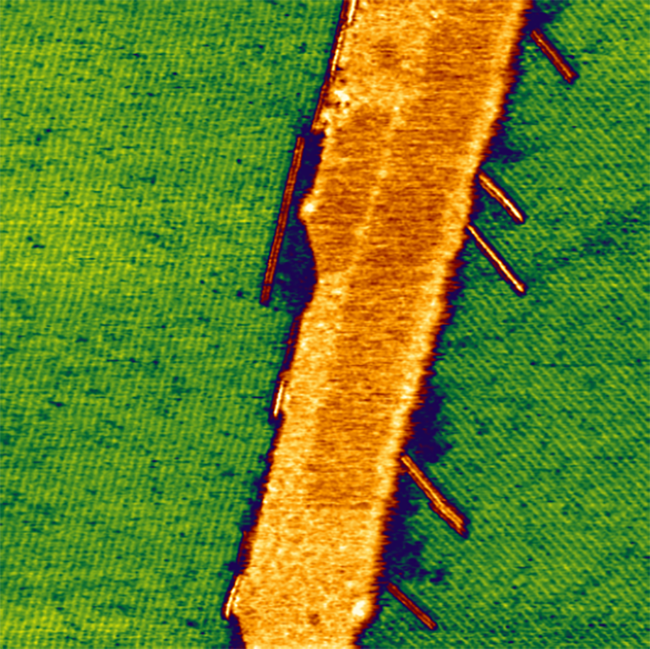 AFM image showing hexacontane molecules forming stripe-like monolayers on HOPG.