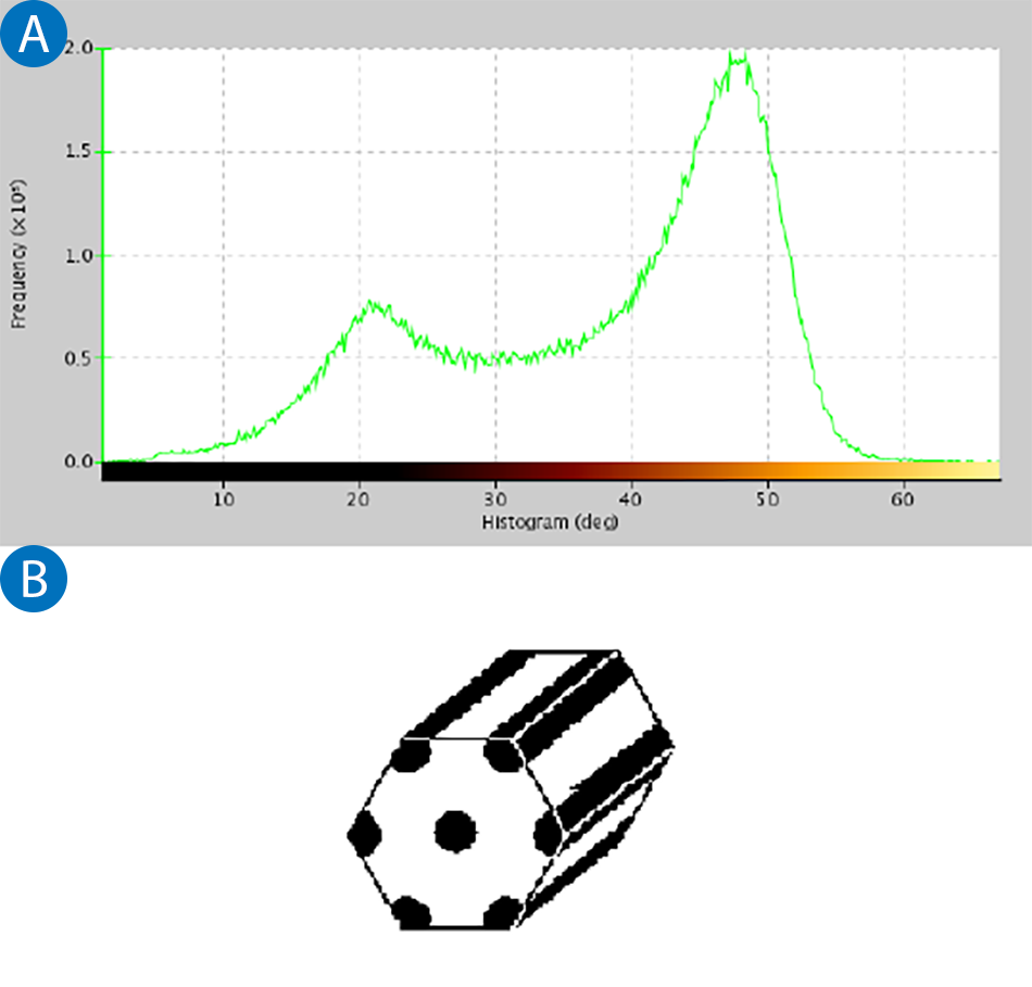 (a) Histogram of phase values from Figure 12. (b) Schematic of polybutadiene forming hexagonally packed cylinders in styrene-rich SBS.