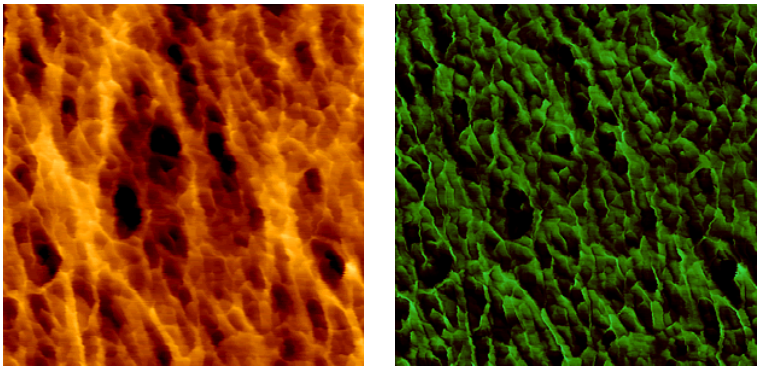 AFM height and phase images of biaxially-oriented polypropylene foil. Image size 800 x 800 nm, height range 33 nm.