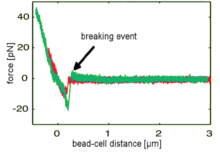 Image shows two example curves of bead-cell interactions. An influenza-coated bead is pulled from a cell using the NanoTracker™, revealing two bond-breaking events around 10 and 20 pN.