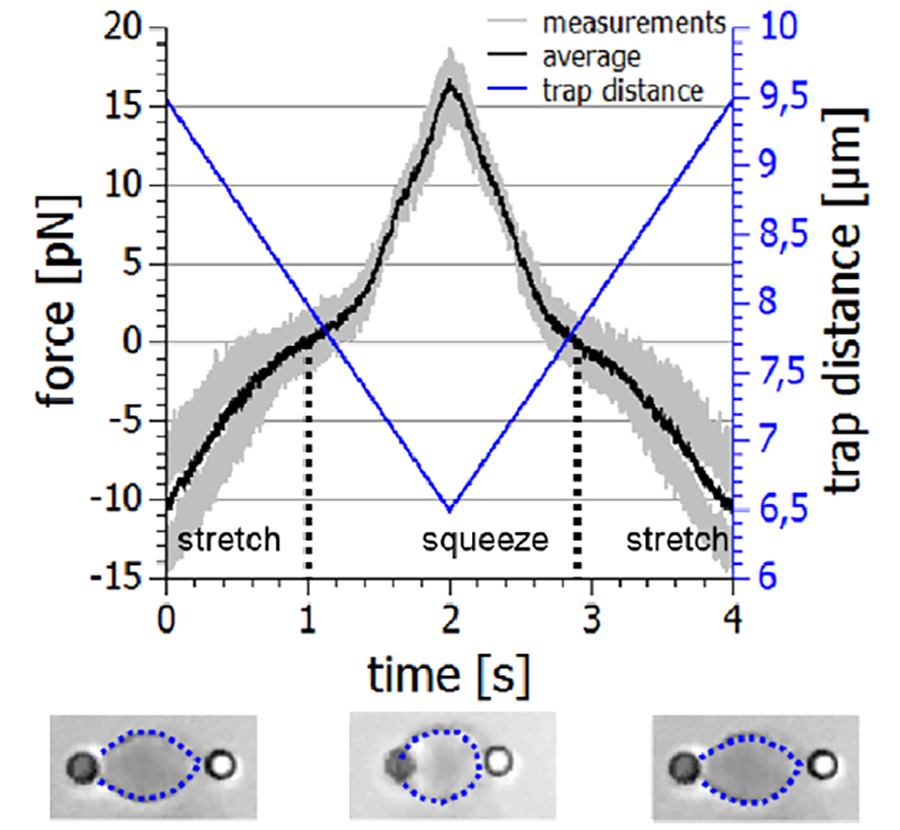 Image shows a squeeze-stretch experiment on a red blood cell. Optical traps change distance over time to stretch and compress the cell, with forces ranging from –11 to 17 pN. Dashed blue lines mark the cell’s shape at maximum stretch and squeeze.