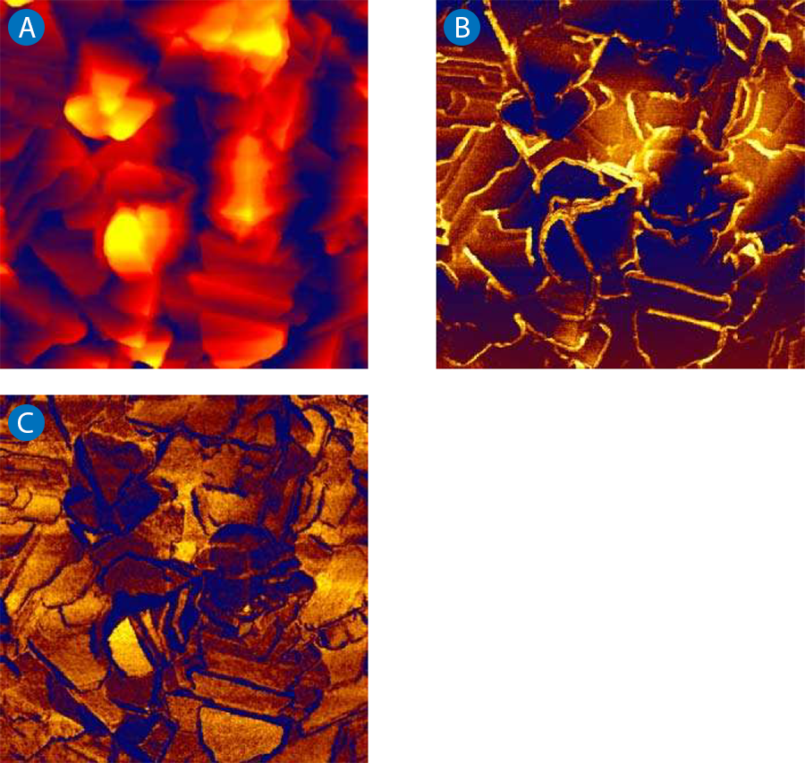AFM images of Tipcheck sample showing height, adhesion, and slope over a 10 µm area.