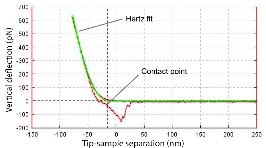 Force-distance curve showing tip-sample interaction. After corrections and contact point identification, the extend curve is fitted using the Hertz model.