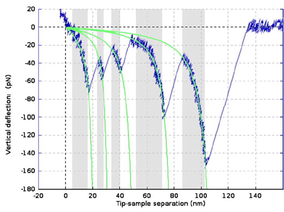 Image shows a force spectroscopy curve of filamin unfolding with wormlike-chain fits. Multiple unfolding events are automatically detected, fitted, and prepared for export via batch processing.