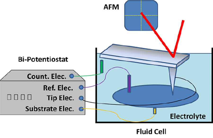 Image of the Working principle of Scanning Electrochemical AFM