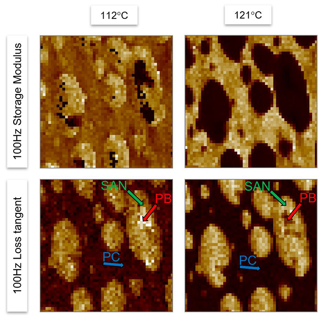  AFM-nDMA viscoelastic