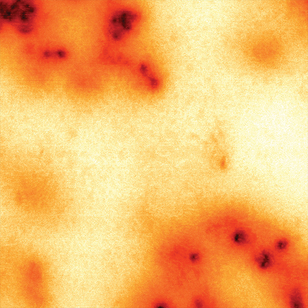 Electric Force Microscopy (EFM)