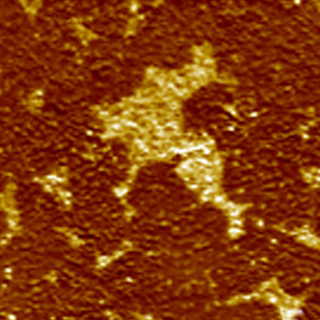 Lateral Force Microscopy (LFM)