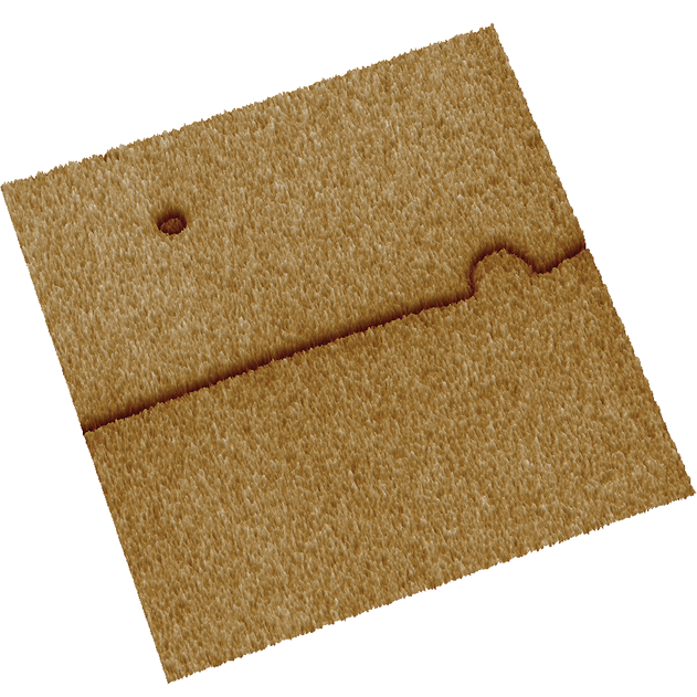 Piezoresponse Force Microscopy (PFM)