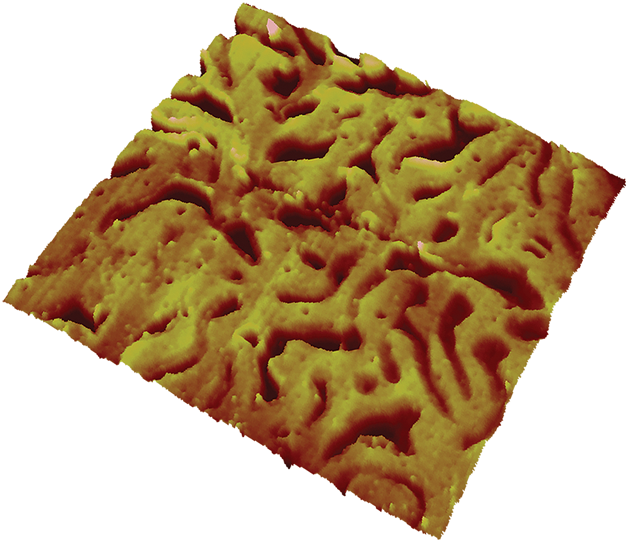 Scanning Electrochemical Potential Microscopy (SECPM)