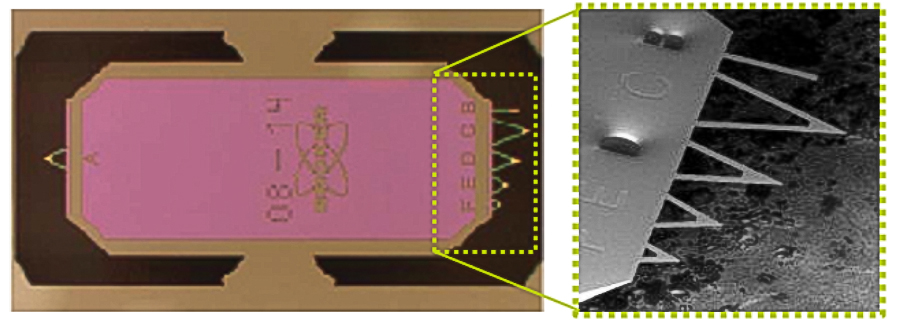 A single silicon chip containing multiple probes for atomic force microscopy