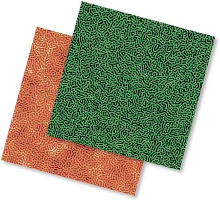 Hình ảnh địa hình và pha có độ phân giải cao của Triblock Copolymer