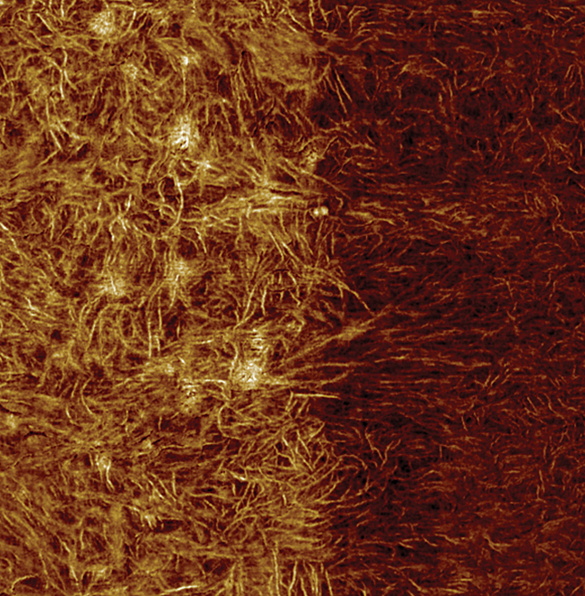 MultiMode 8-HR AFM - Modulus Image Between Tie and Sealant Layers