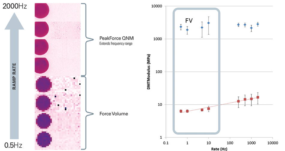 Force curve mapping of PS and LDPE blend showing frequency-dependent modulus changes in LDPE and stable modulus in PS.