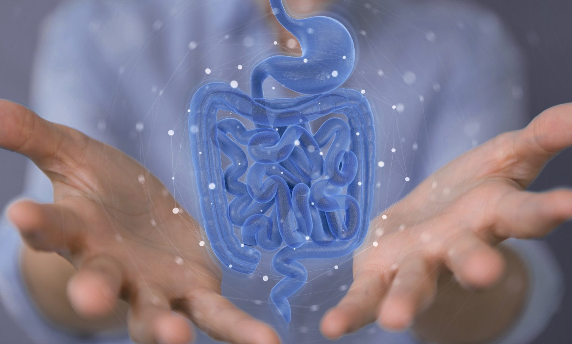 Gastrointestinal Bruker