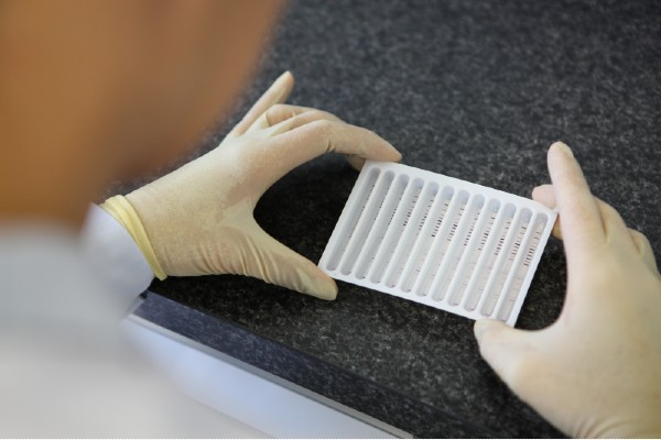 hands holding a DNA-Strip results card
